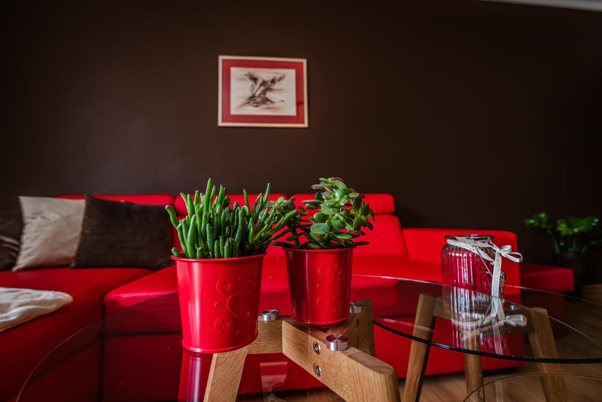 Apartamenty Widok Szczawnica Exteriér fotografie